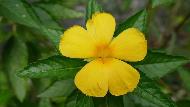 G4e095dcb9aa1045b1a9aba91fb9c5a817e1707cd853f603b47cb952b7fc6a58f7a41e5bcc87d5ab8877a771f5cb3c30b93bfd5289cce70e15fd7bd79e55cfd45 640